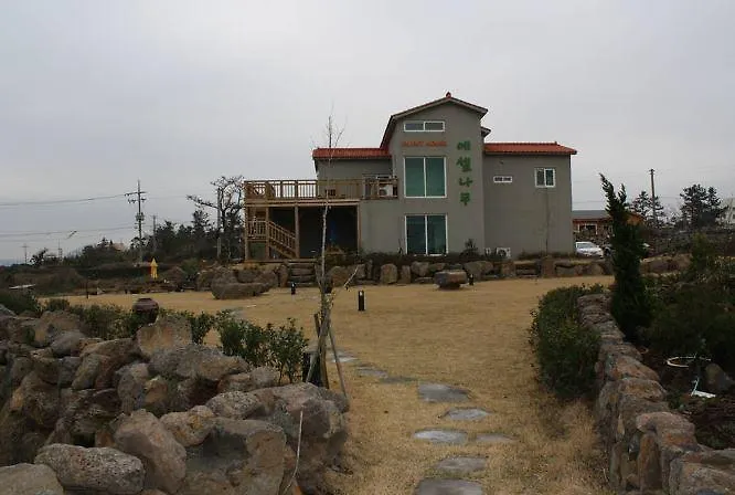 Eshel Tree Guesthouse Jeju 2*,