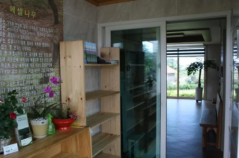 Eshel Tree Guesthouse Чеджудо Южная Корея